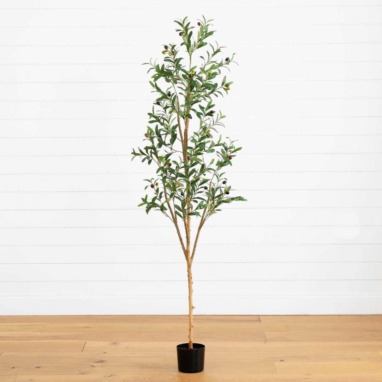 6’ Artificial Olive Tree with Natural Trunk