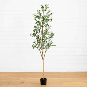 6’ Artificial Olive Tree with Natural Trunk