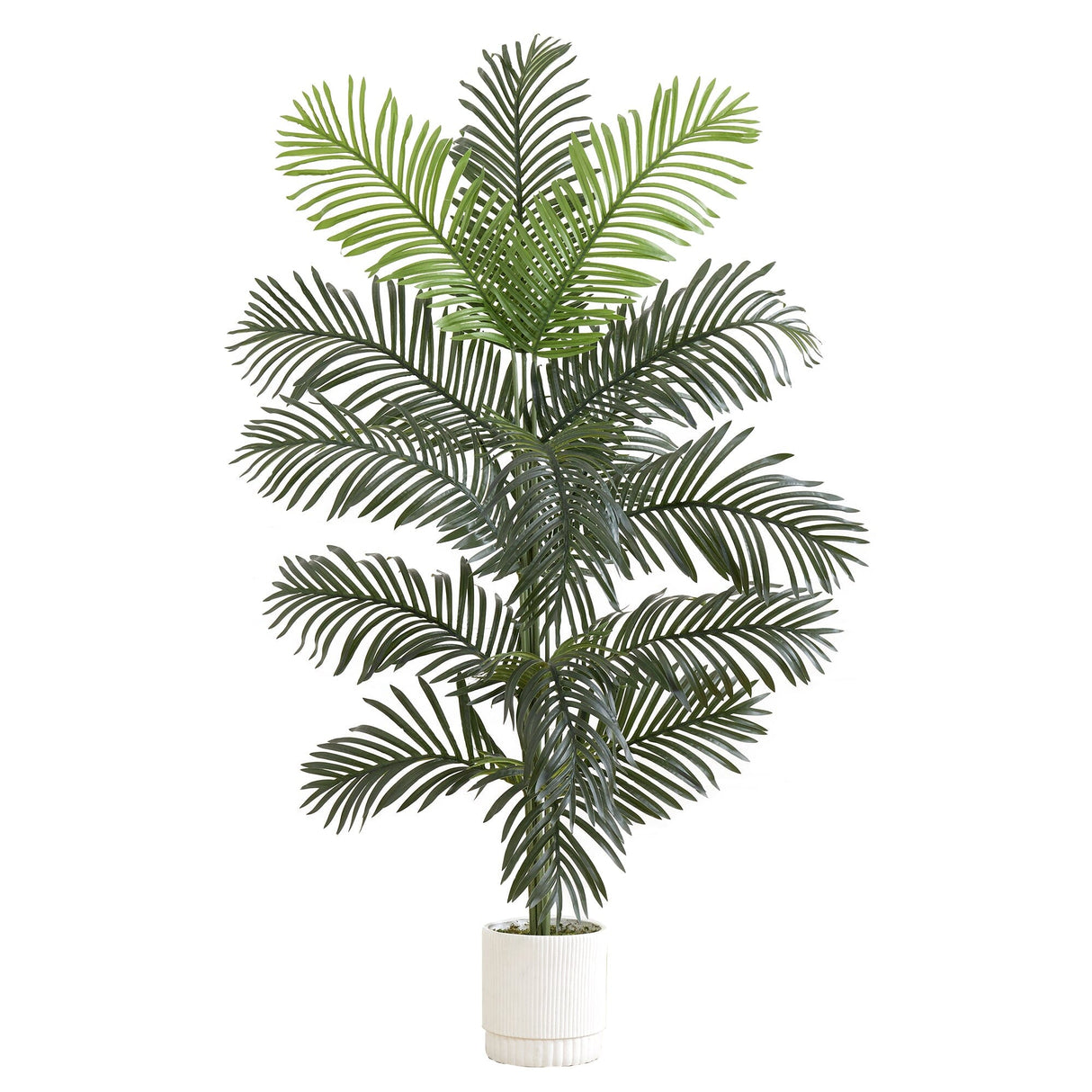 6’ Artificial Paradise Palm with White Decorative PlanterPlanter