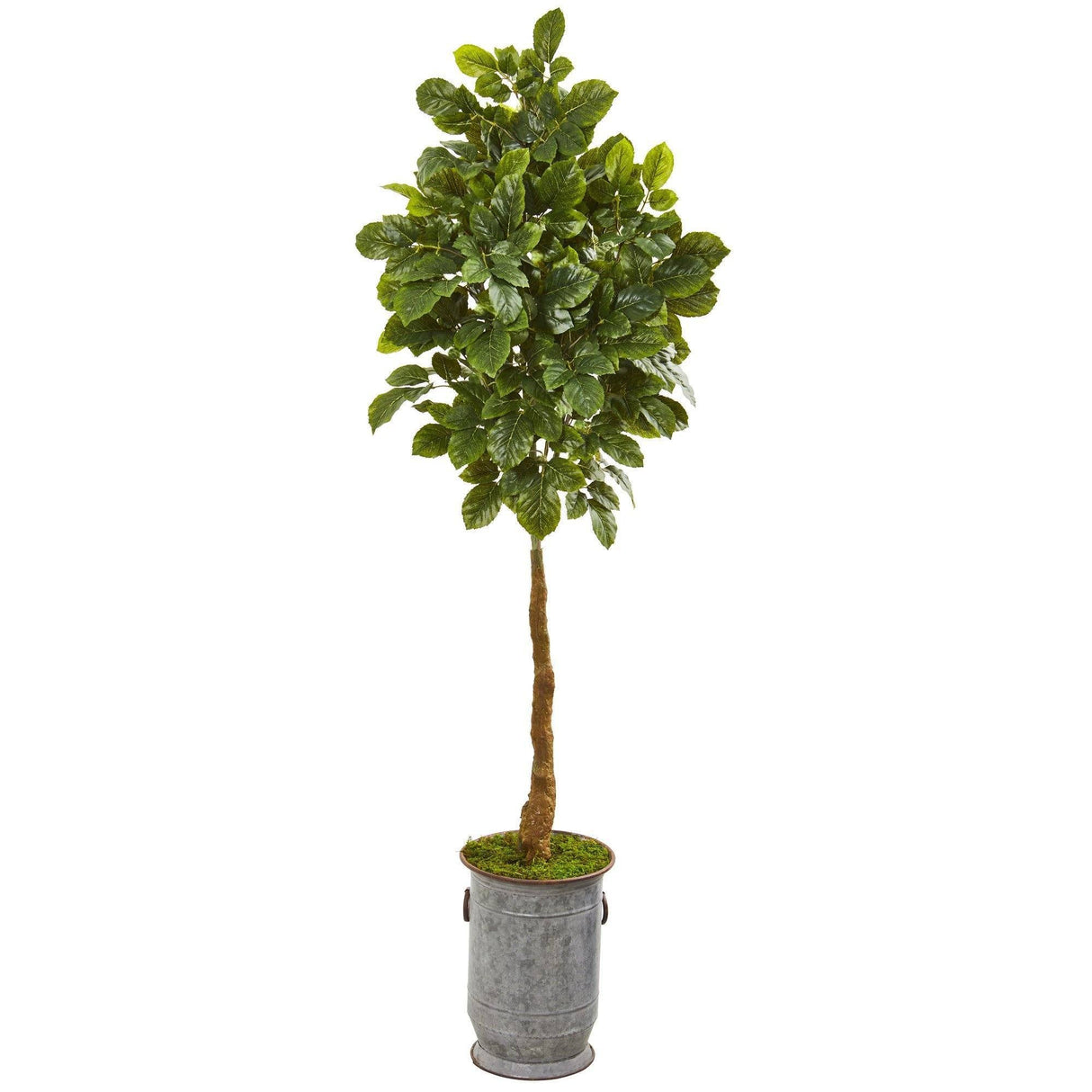6’ Beech Leaf Artificial Tree in Metal Planter with Copper Trimming