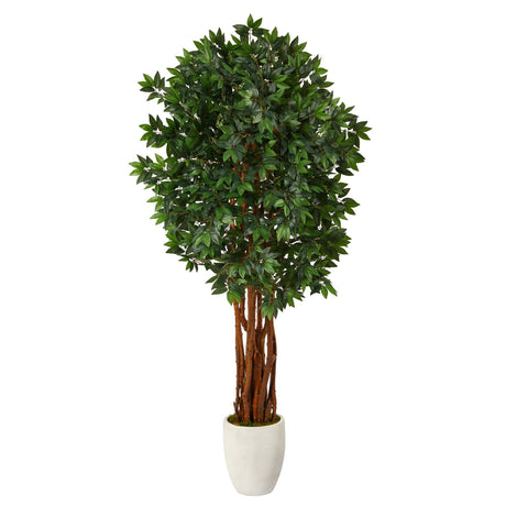 6’ Lychee Artificial Tree in White Planter