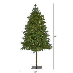 6' Swiss Alpine Artificial Christmas Tree with 250 Clear LED Lights and 450 Bendable Branches