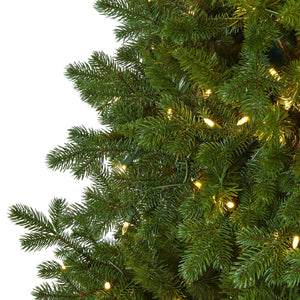 6' Swiss Alpine Artificial Christmas Tree with 250 Clear LED Lights and 450 Bendable Branches