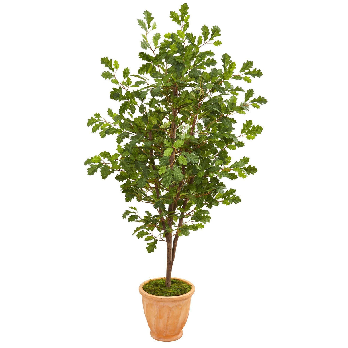 67” Oak Artificial Tree in Terra Cotta Planter