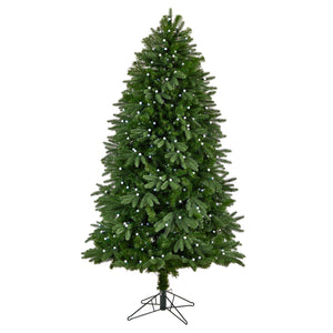 6.5’ Fraser Fir Christmas Tree with 550 Gum Ball LED Lights with Instant Connect Technology and 965 Branches