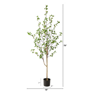 6.5' Minimalist Citrus Tree