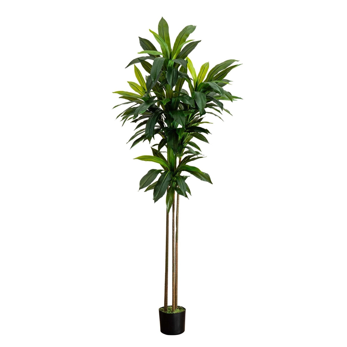 7’ Artificial Dracaena Tree