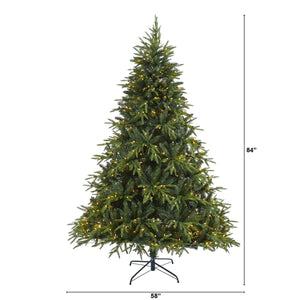 7’ Colorado Mountain Fir “Natural Look” Artificial Christmas Tree with 500 Clear LED Lights and 2552 Tips