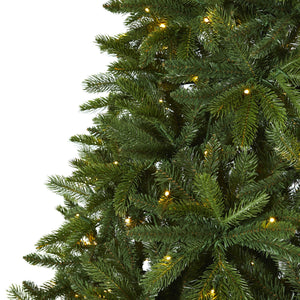 7’ Sierra Spruce “Natural Look” Artificial Christmas Tree with 500 Clear LED Lights and 2213 Tips