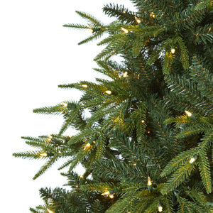 7.5’ Colorado Mountain Fir “Natural Look” Artificial Christmas Tree with 600 Clear LED Lights and 3048 Bendable Branches