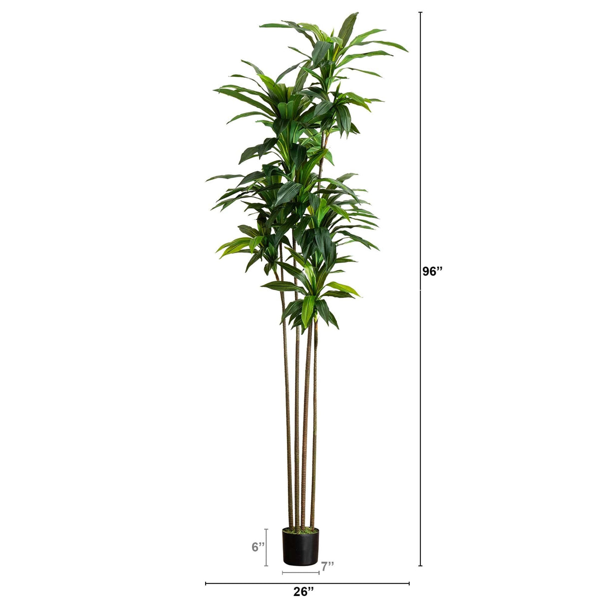 8’ Artificial Dracaena Tree with Real Touch Leaves