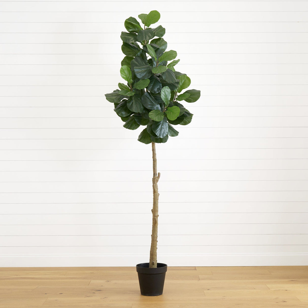 8’ Artificial Fiddle Leaf Fig Tree