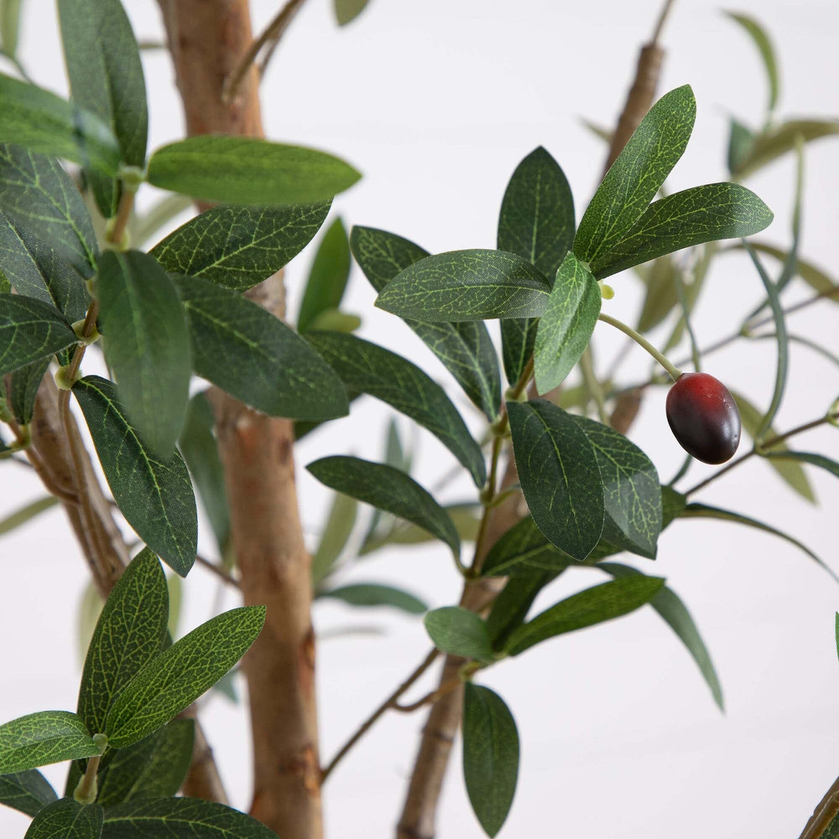 8' Artificial Olive Tree with Natural Trunk