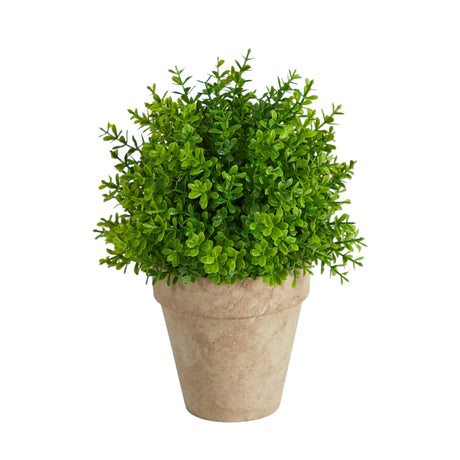 8” Boxwood Artificial Plant in Decorative Planter