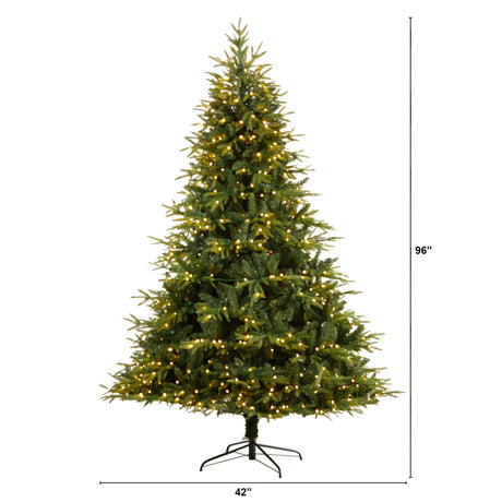 8’ Colorado Mountain Fir “Natural Look” Tree with 700 Multi LED Lights and 3560 Bendable Branches