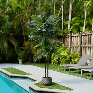 8’ UV Resistant Artificial Double Robellini Palm Tree (Indoor/Outdoor)