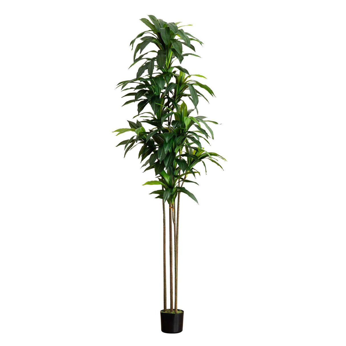 9’ Artificial Dracaena Tree with Real Touch Leaves