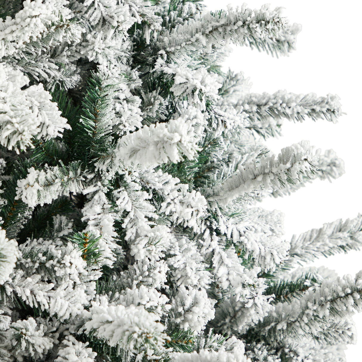 9' Flocked Rock Springs Spruce Christmas Tree with 650 LED Lights and 1550 Bendable Branches