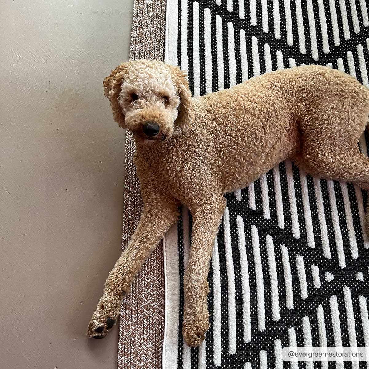 Anah Black Durable Rug