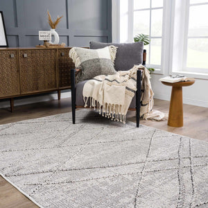 Baqer Bone & Taupe Textured Performance Rug