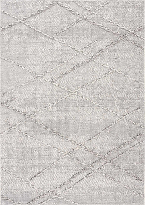 Baqer Bone & Taupe Textured Performance Rug