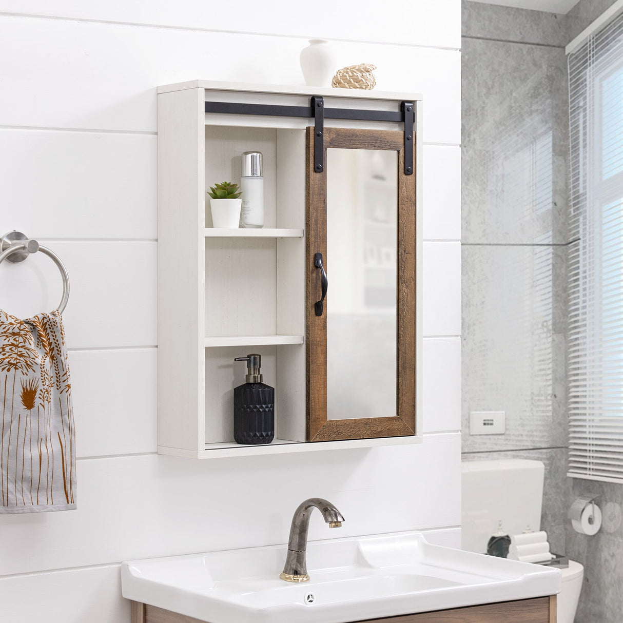 Barn Door Wall Storage with Mirror