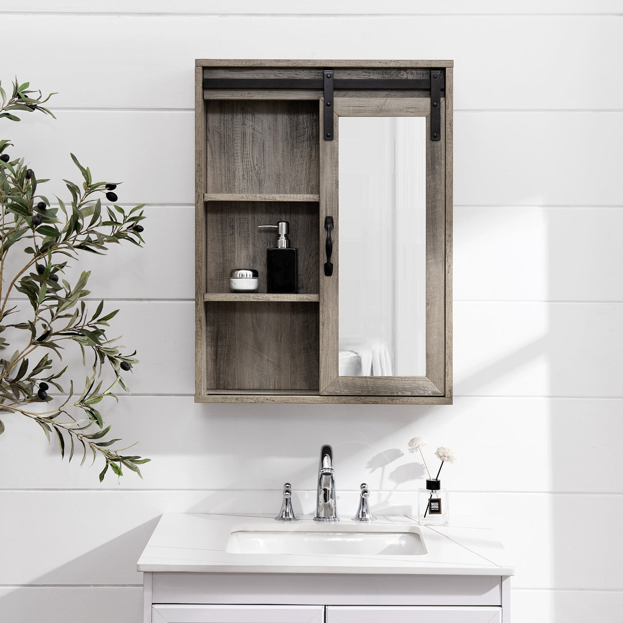 Barn Door Wall Storage with Mirror