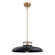 Beacon 1-Light Modern Gold & Black Pendant Light