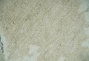 Beige and Ivory Traditional Hand Knotted 8x10 Geometrical Pattern Wool Area Rug
