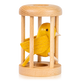 Bird in Cage Puzzle