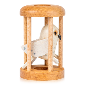 Bird in Cage Puzzle