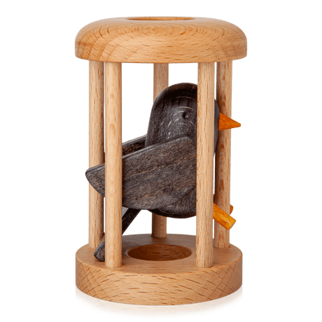 Bird in Cage Puzzle