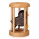 Bird in Cage Puzzle