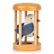 Bird in Cage Puzzle