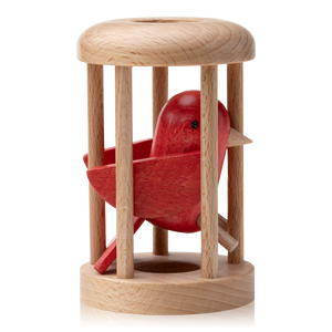 Bird in Cage Puzzle