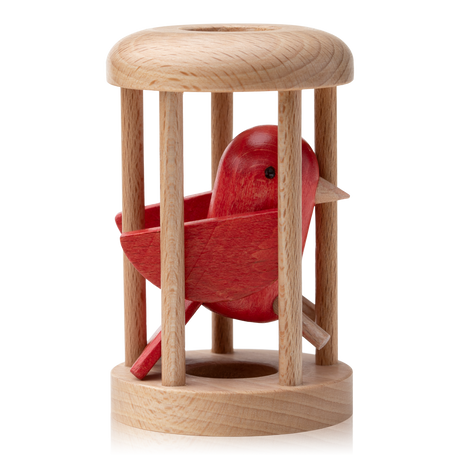 Bird in Cage Puzzle