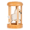 Bird in Cage Puzzle