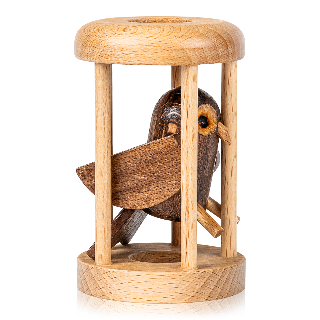 Bird in Cage Puzzle