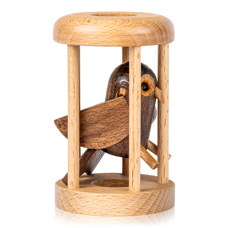 Bird in Cage Puzzle