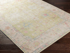 Bozkurt Vintage Flat Pile Washable Rug