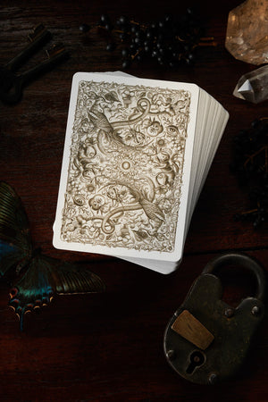 Cabinetarium Playing Cards