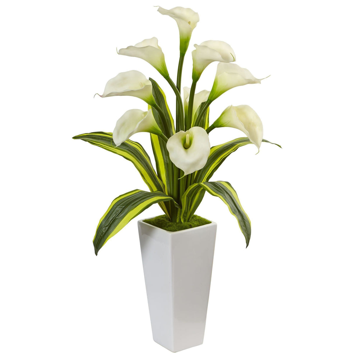 Callas with Tropical Leaves in Glossy Planter