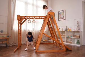 Chestnut 8-in-1 Jungle Gym for Toddlers | Indoor & Outdoor Wooden Playset