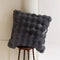 Corydon Throw Pillow