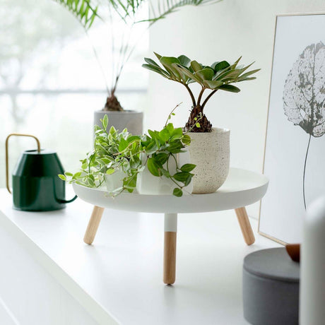 Countertop Pedestal Tray (5" H) - Steel + Wood