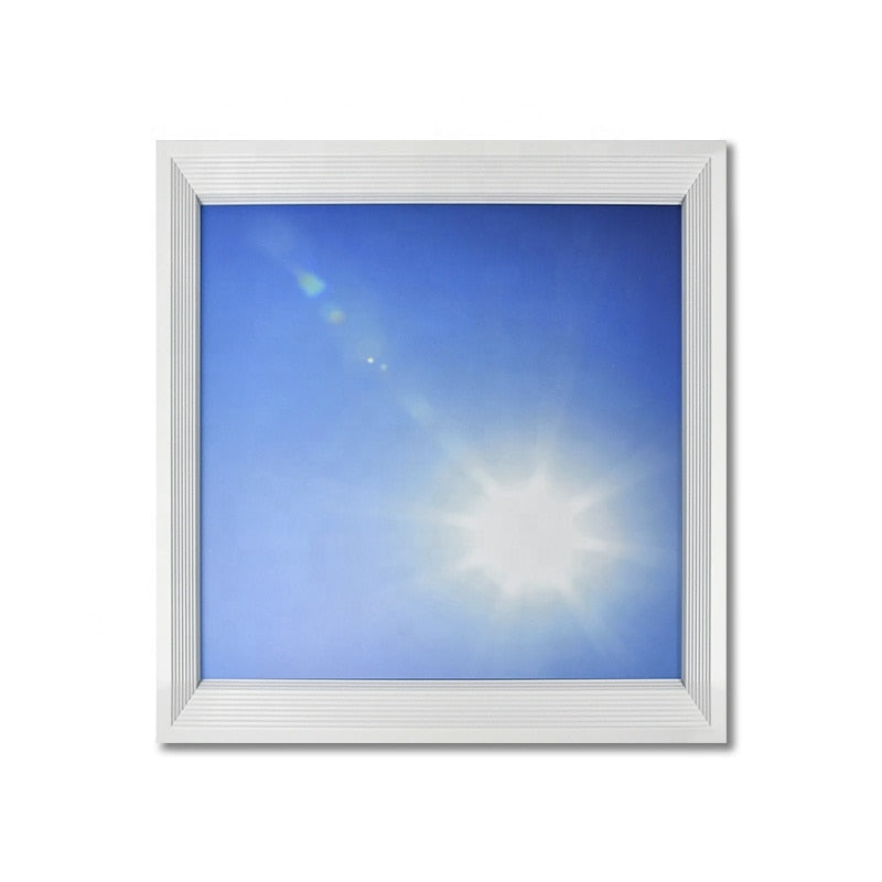 Ellure Artificial Sky Ceiling Light