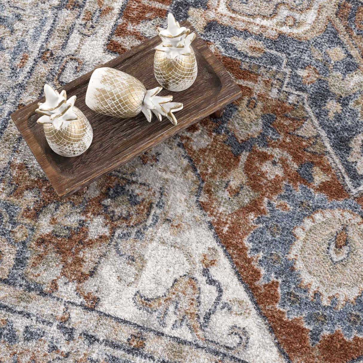 Erna Washable Distressed Rug