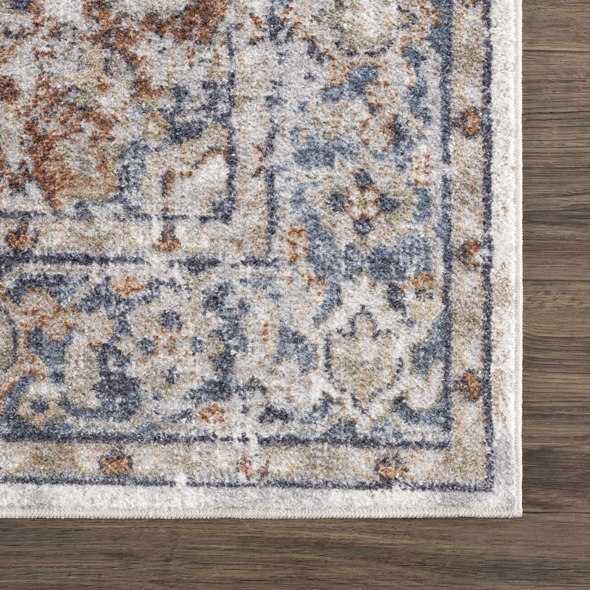 Erna Washable Distressed Rug