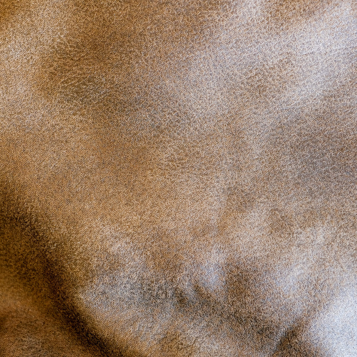Fuf Medium w/ Removable Cover