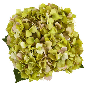 Hydrangea in New Baby Ceramic